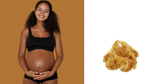 Why Should You Consider Sea Moss for Pregnancy?