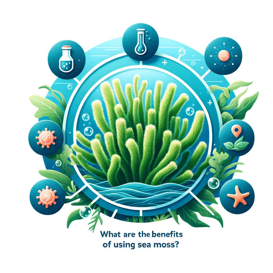 benefits of sea moss